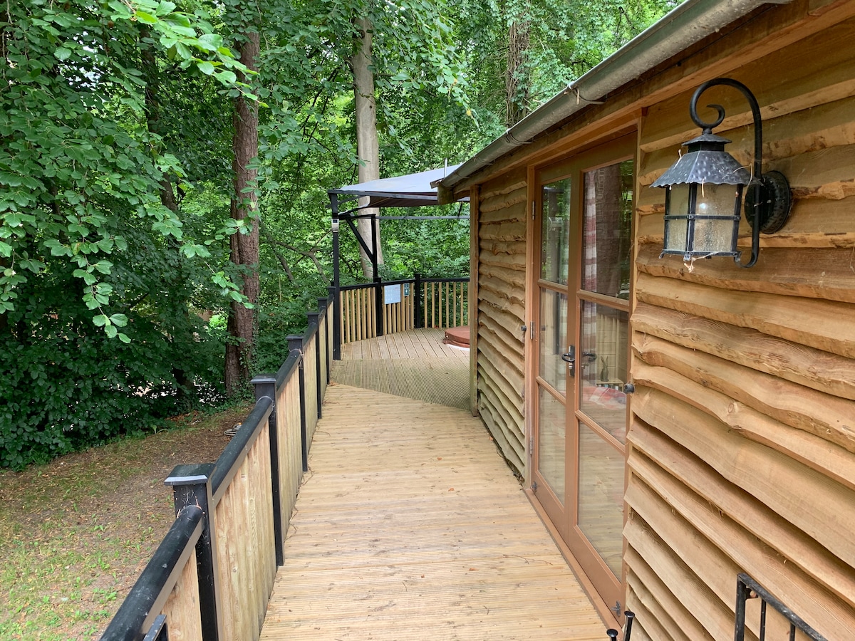 Timber boardwalk running alongside the cabin exterior through the woodland
