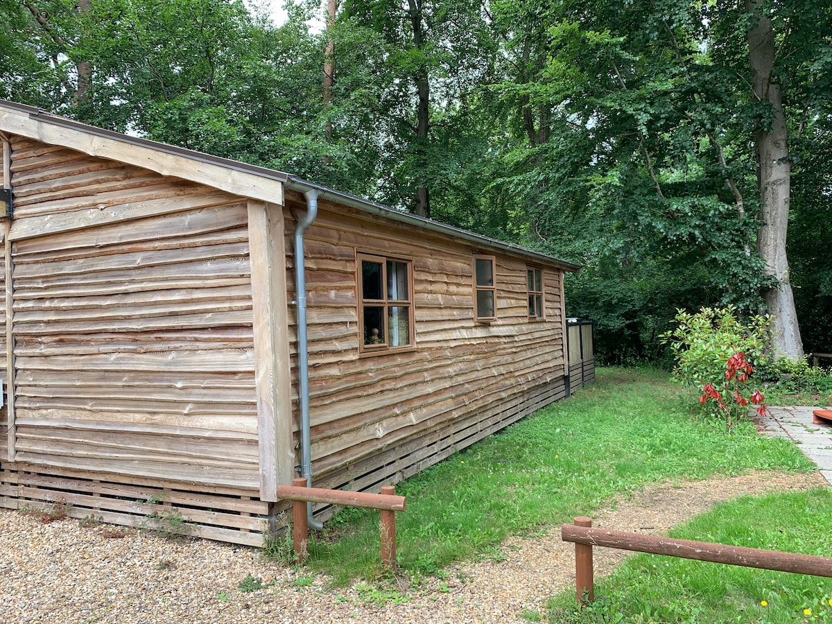 Side view of the log cabin exterior with lawn and surrounding woodland