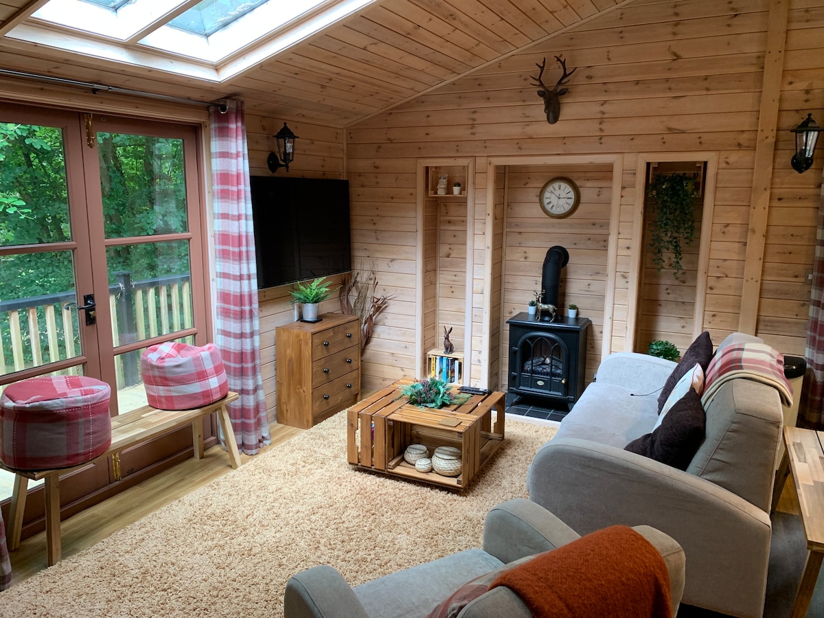 Living room with wood-burning stove, wall-mounted TV and stag head ornament